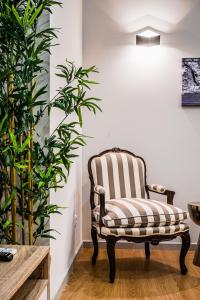 Emotions Lapa Flat