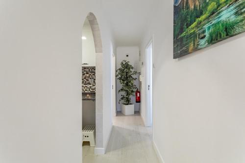 Encarnação Home 2