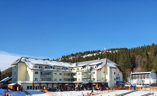 Enjoy Ferienwohnung Feldberg Grafenmatt