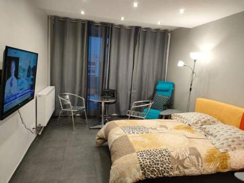 Appartement entier Bron france