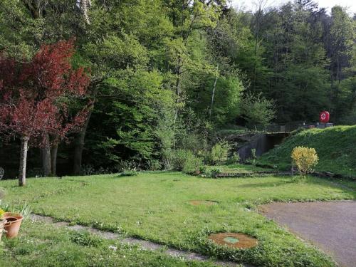 Appartement entier rénové dans un écrin de verdure Thann france