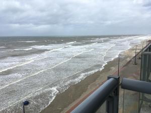 Entre dunes et mer