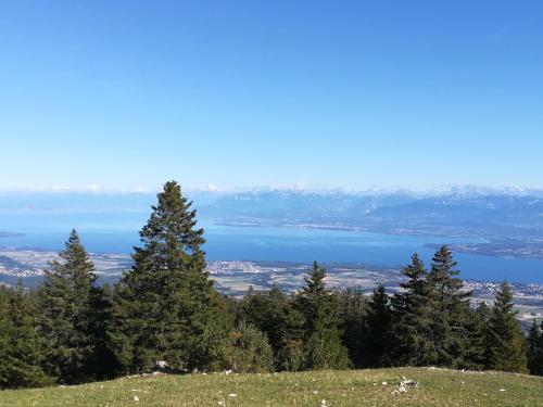 entre lac et montagne