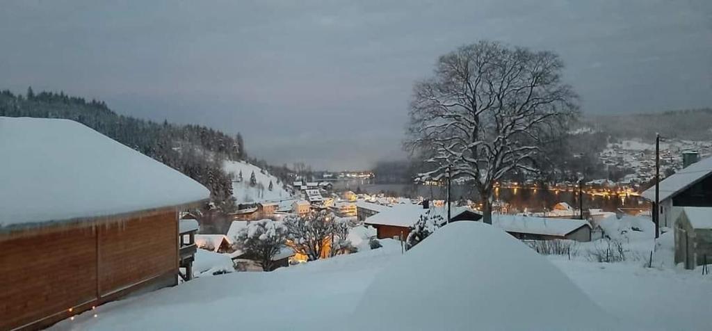 Entre lac et pistes 17 Chemin du Cantonnier, 88400 Gérardmer