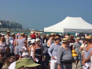 Entre mer et falaises
