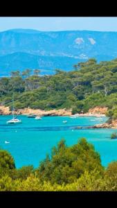 Entre mer et piscine