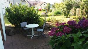 Enzkreisspitze Garten