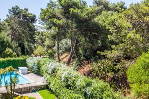 Ereira with Pool in Cascais