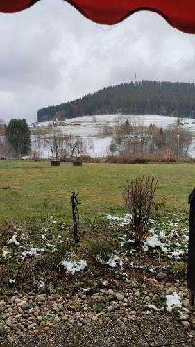 Erholsame 2 Zimmer FeWo mit King-Size-Bett, Pool & Stellplatz