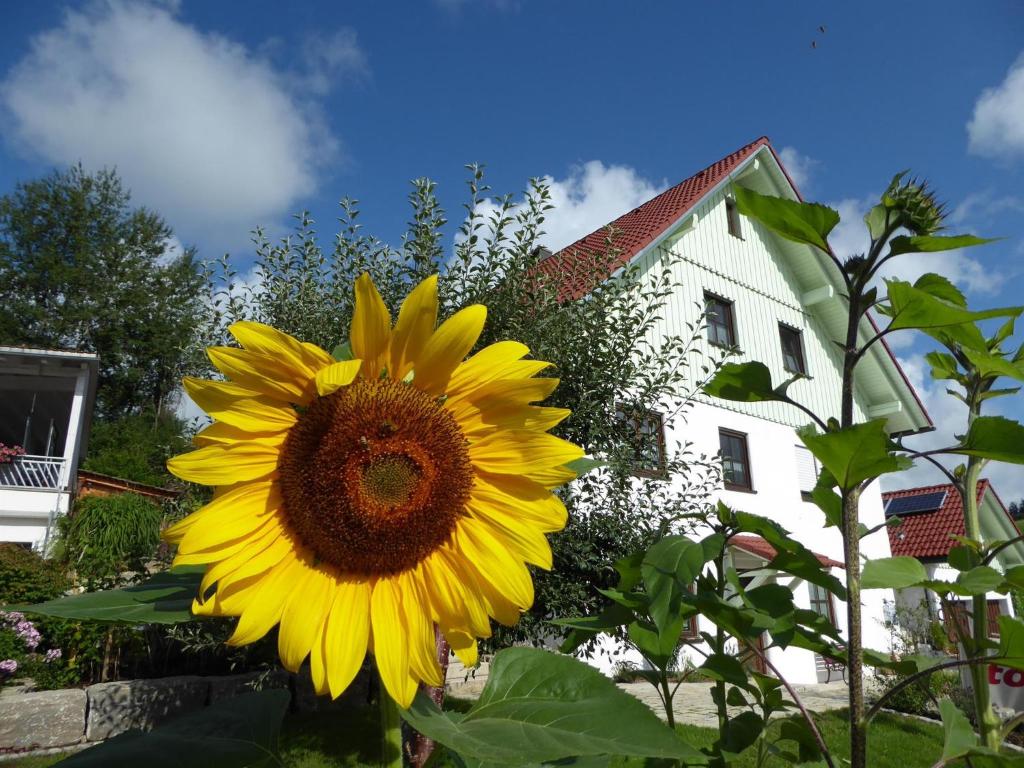 erholungsraum Karsee - Ferienwohnung Beim Pfarrstadel 19, 88239 Wangen im Allgäu
