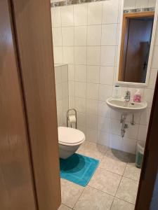 Appartement Erlenstr. 17 35410 Hungen 17 Erlenstraße 35410 Hungen Hesse