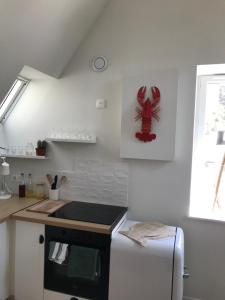 Escale Iodée ST-MALO - SOLIDOR