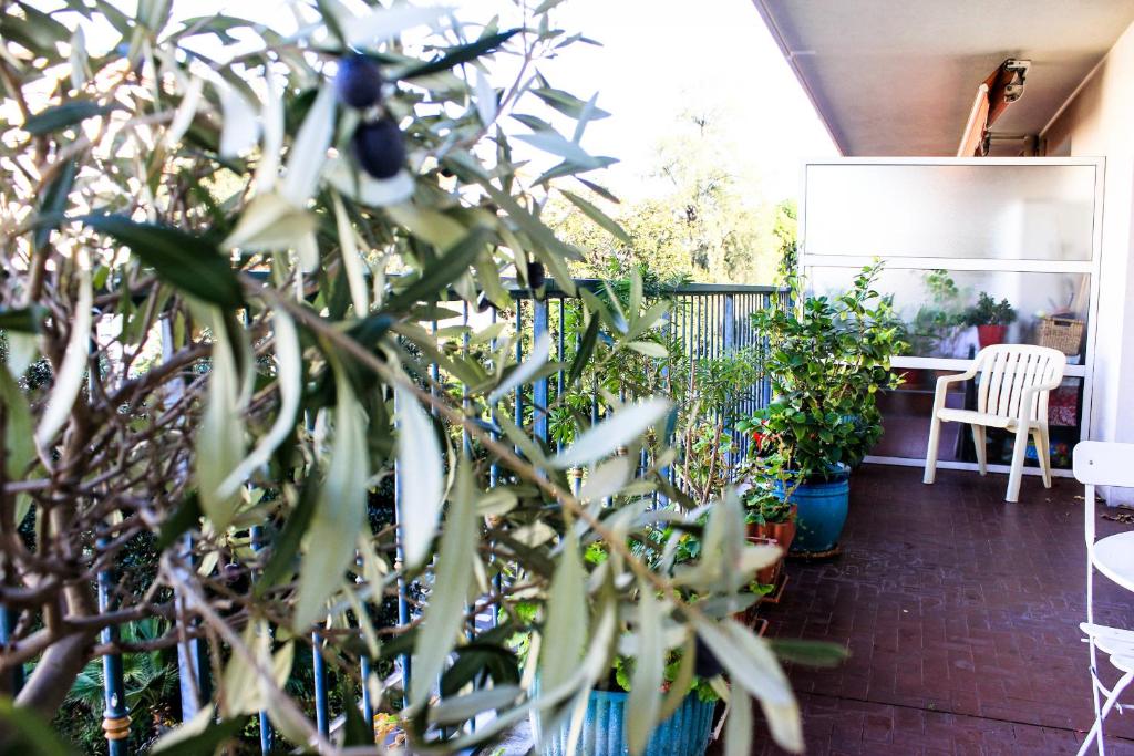 Escapade 8 8 avenue Mirabeau, 06000 Nice