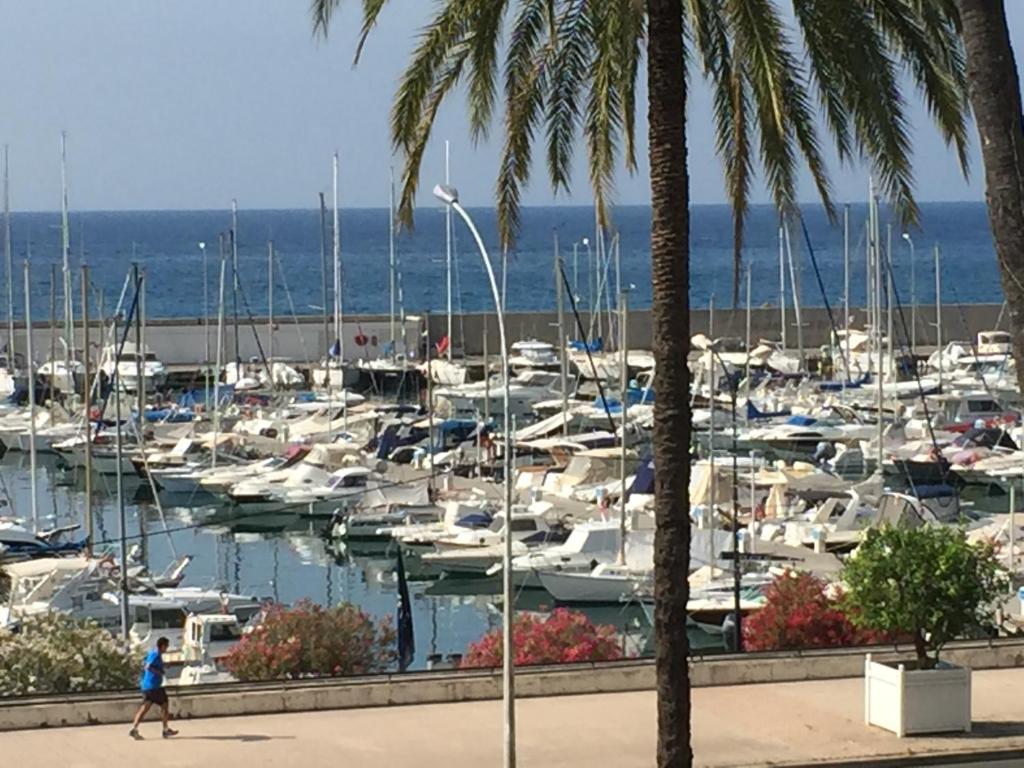 Espace 2000 Avenue Porte de France 61, 06500 Menton