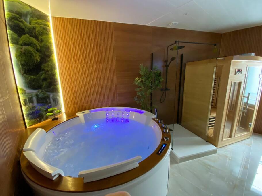 Appartement Esprit BALI ....LOVE SPA, Sauna de luxe à Mulhouse 5 Rue des Fleurs 68100 Mulhouse