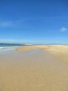 Estrela do Mar