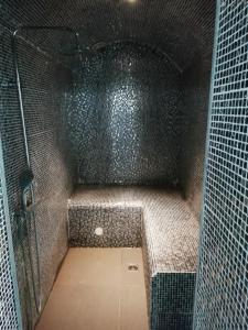 Appartement Etage à la ferme avec piscine intérieure privative, selon date 181 Chemin Vert 59480 La Bassée Nord-Pas-de-Calais