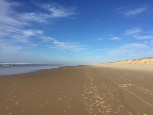 Etoile de mer 7