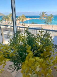 Appartement Etoile de mer - Menton, Garavan 1 Porte de France 06500 Menton Provence-Alpes-Côte d\'Azur