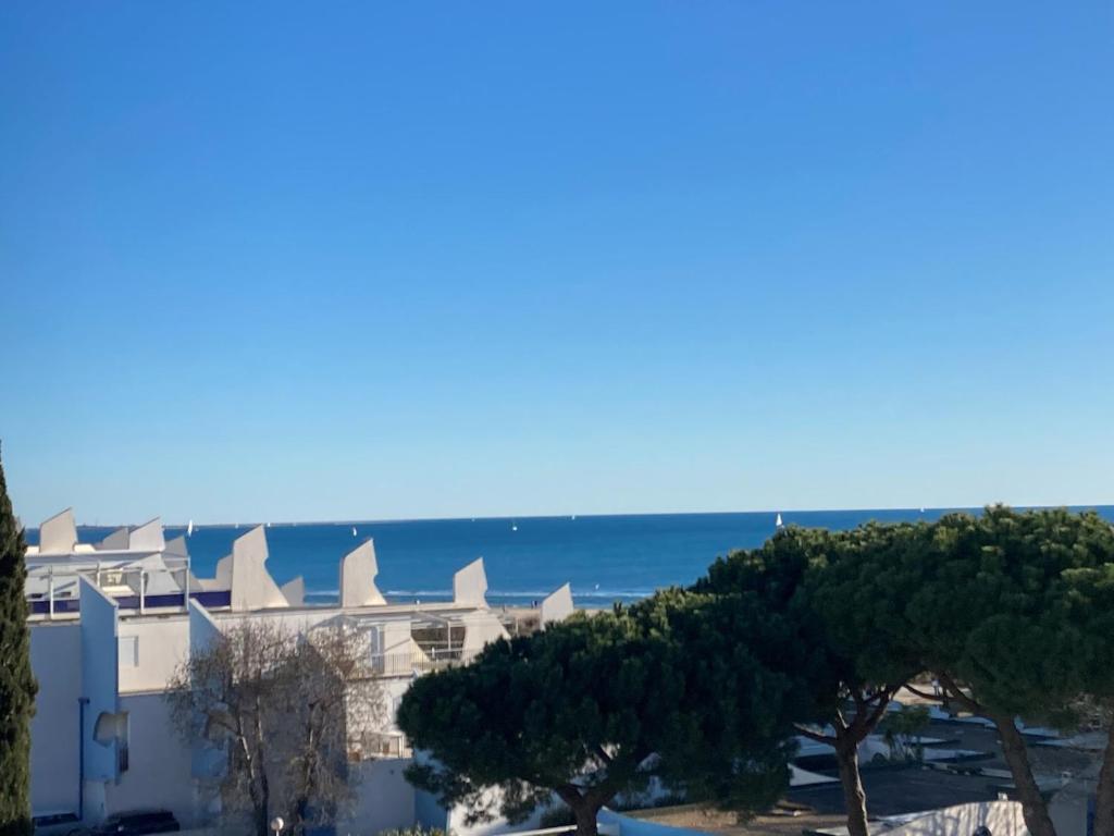 Appartement Etoile dorée, vue mer, plage, clim, commerces, 3 étoiles 162 Avenue du Couchant 34280 La Grande Motte