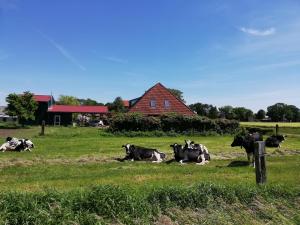 Etzel-Lodge Weideblick