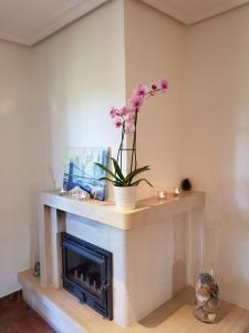Excellent T2 apartment with pools 400m Falesia beach