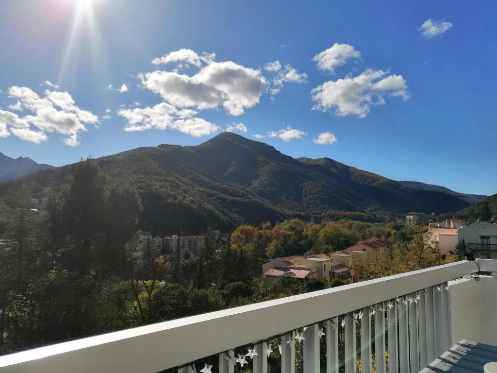 Appartement Exceptionnel F2 vue montagne Trois étoiles gites de France 11 Rue des Cèdres 66110 Amélie-les-Bains-Palalda