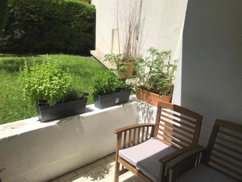 Exceptionnel Rez-de-Jardin Cannes Centre