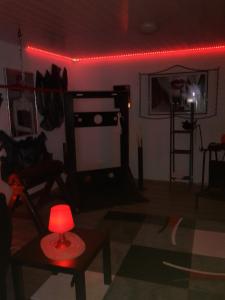 Exclusiv-Mietapartment (BDSM)-Heidelberg