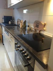 Exclusive Living Apartment 2 Zimmer bis zu 4 Personen