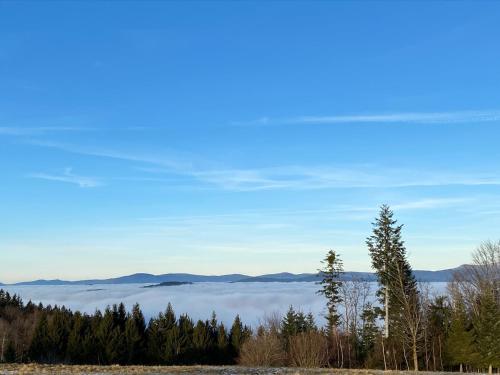 EXCLUSIVES 3BR! Apartment MITTEN im Bayerischen Wald +NETFLIX