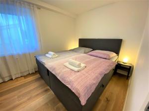 EXCLUSIVES 3BR! Apartment MITTEN im Bayerischen Wald +NETFLIX