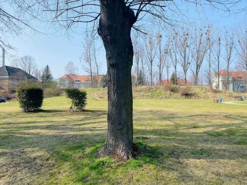Exkl. helles Apartment mit Balkon, WLAN& Parkplatz