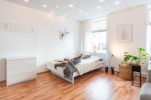 Exklusive Fewo-Apartments im Herzen Kiels