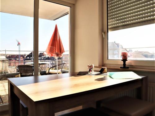 Exklusive Wohnung mit Dachterrasse in Schleußig