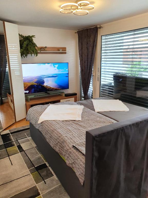 Appartement Exklusivwohnung Leipzig Flughafen 17 Kastanienweg 06188 Landsberg