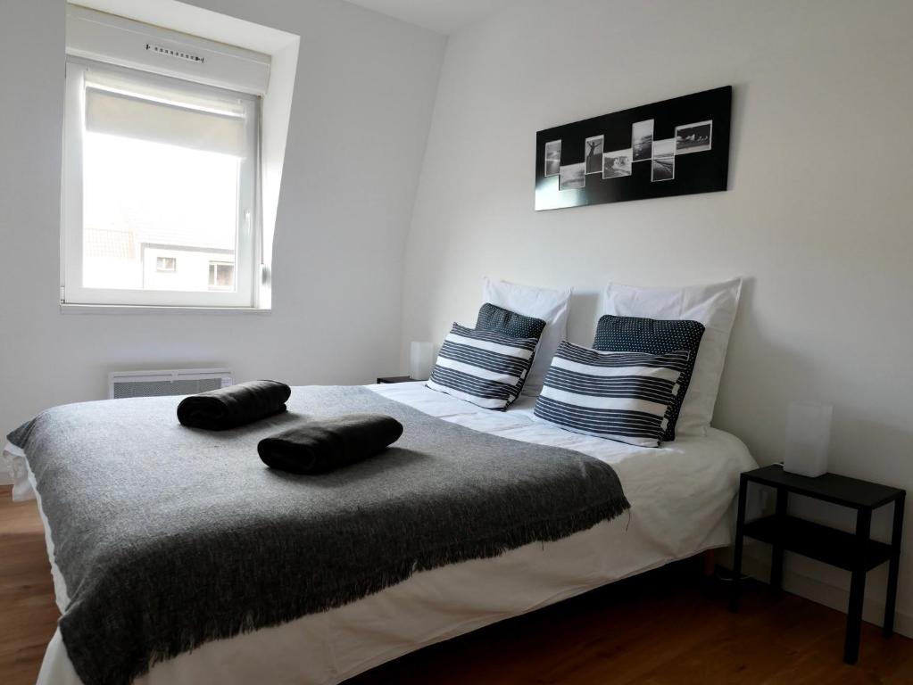 Appartement Expérience Malouine - Appt T3-Coeur de Malo-Plage 69 Rue Louis Vanraet 59240 Dunkerque