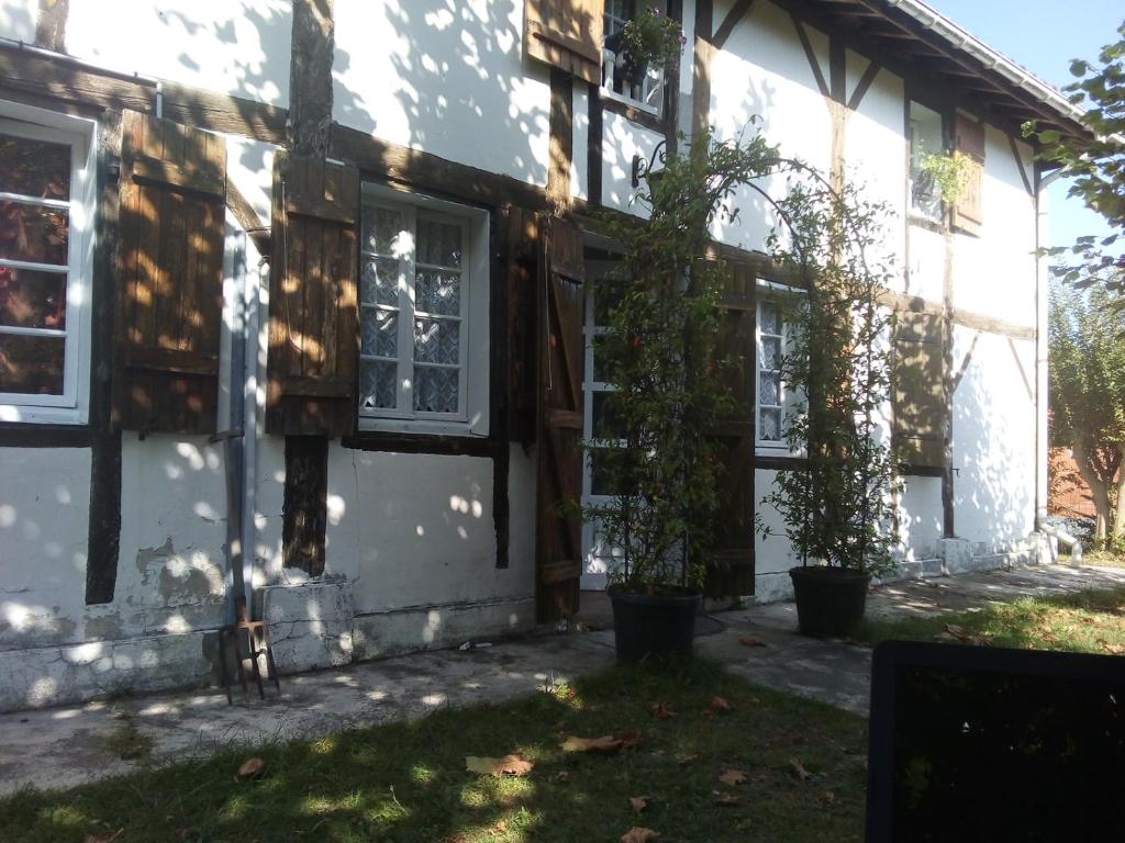 F-1041 Ferienwohnung Greta