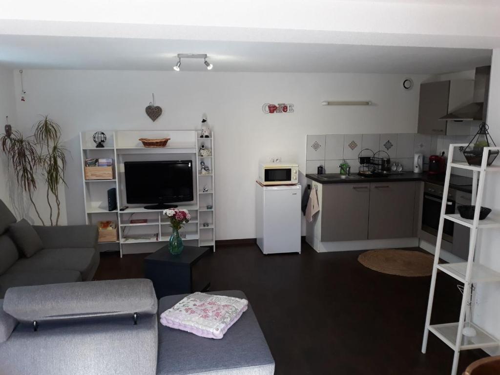 Appartement Appartement F2 de 50m2 à 5min de Colmar 23 Rue de l'Ill, 68180 Horbourg-Wihr