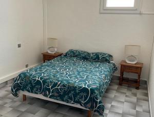 F2 duplex climatisé Cap Agde centre port