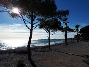 F2 Immeuble les pieds dans l'eau