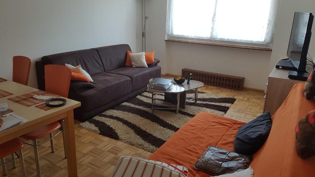 Appartement F2 möblierte 2,5 Zimmer - Wohnung 60 m2 4 Rue Charles Riescher 68300 Saint-Louis