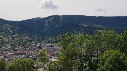 F2 SUR LES HAUTEURS DE GERARDMER