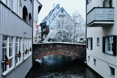 FA Frese Apartments - DESIGN L - I
