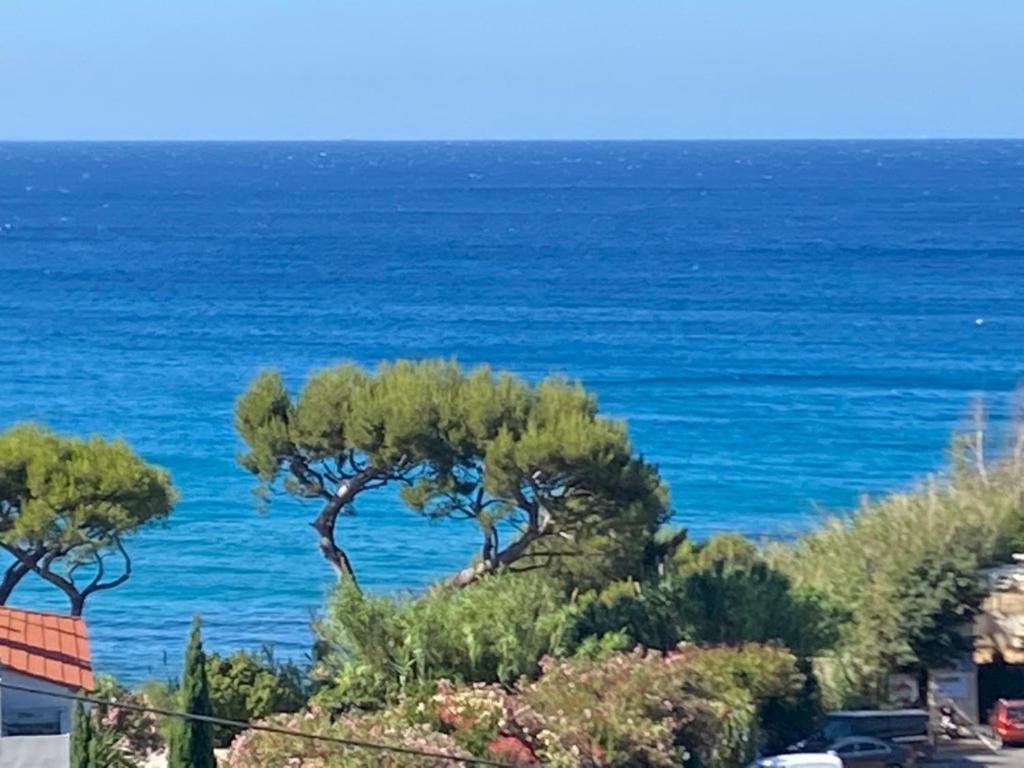 Face à la mer, Cassis et son Cap Canaille 25 Avenue du Revestel, 13260 Cassis