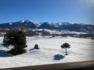 face aux montagnes