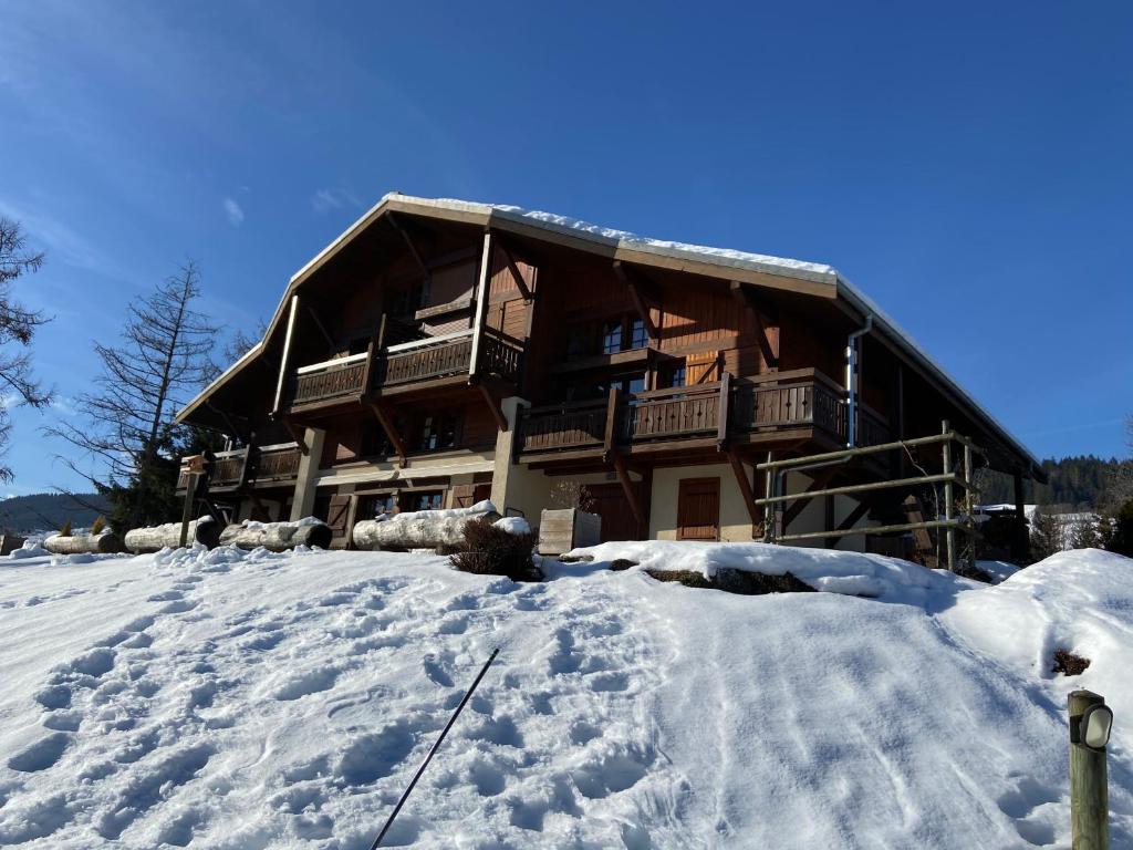 Chalet Appartement face Mont Blanc 421 Route d'Ormaret, 74120 Demi-Quartier