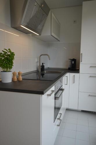 Fair Apartment MAX 33