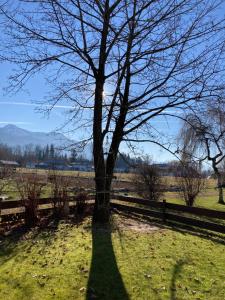 Familiensuite mit Garten und Poolnutzung