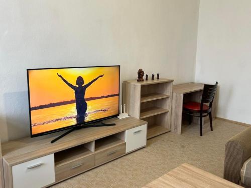 Family Apartments Thale